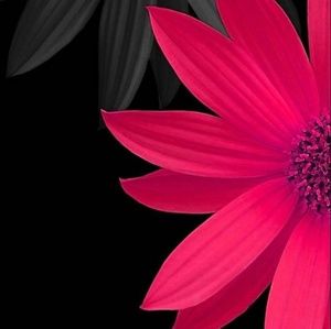 Meet your Posher, Cheryl